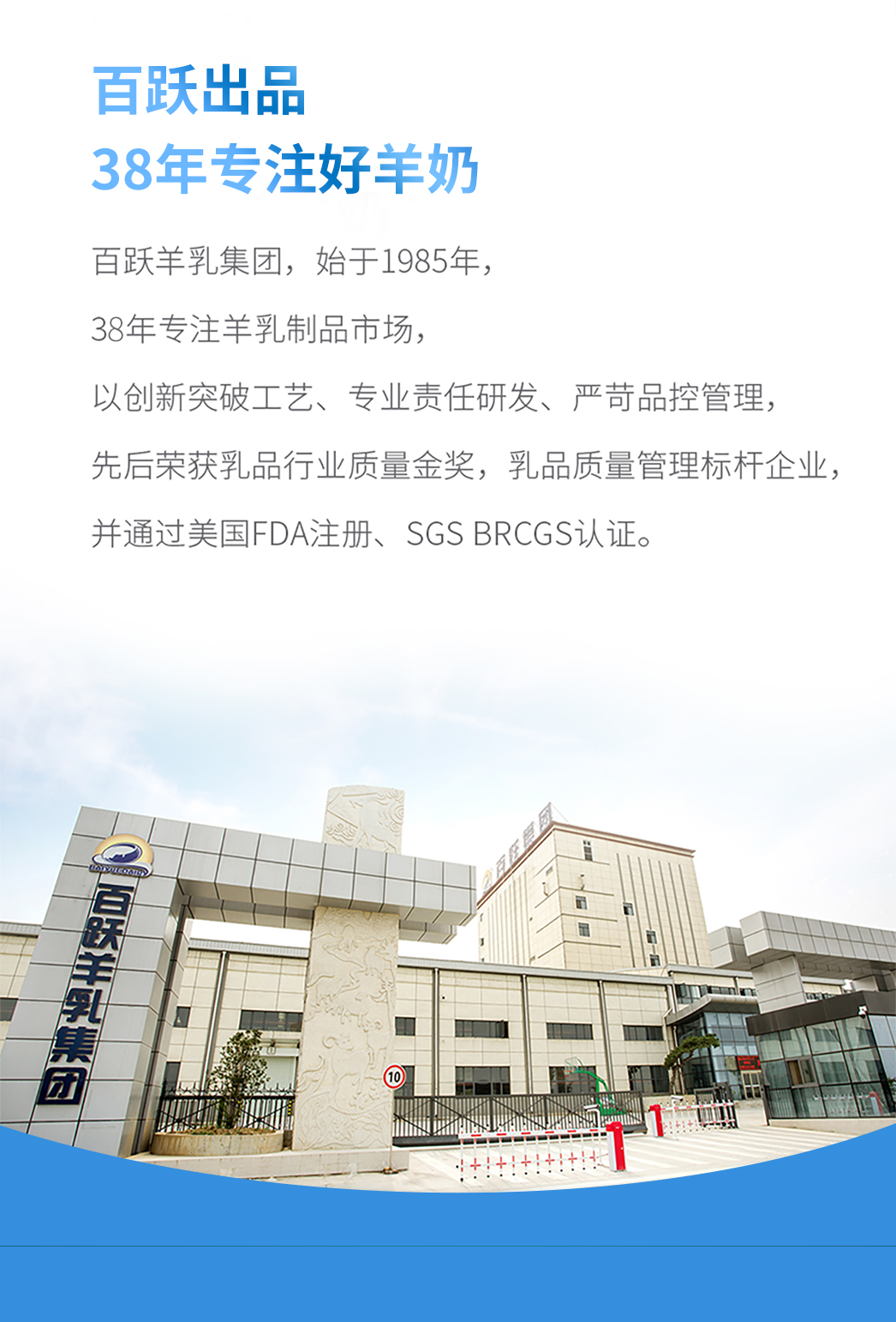 鄉(xiāng)村羊詳情頁_06.jpg